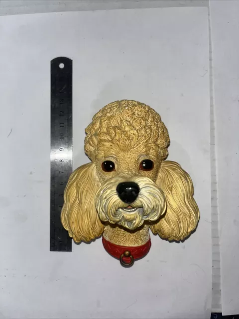 Vintage Bossons Poodle Chalkware Dog Head 1968 England Large Creamy NEW OTHER