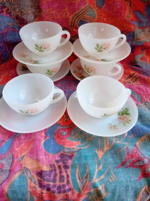 6 tasses arcopal ðecor rose