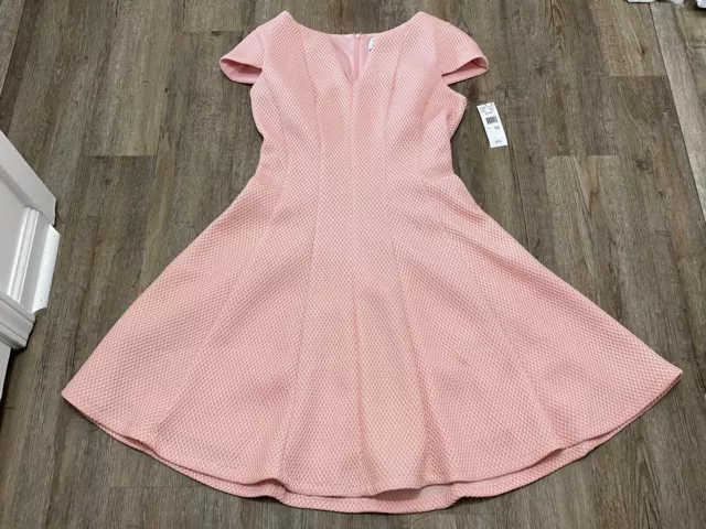 ✅DR Collection by Donna Ricco ✅Fit & Flare ✅Cap Sleeve ✅Blush Dress✅NWT ✅10