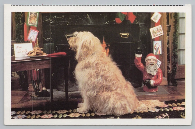 Animal~North Shore Animal League~Dog Sitting By Piano~Vintage Postcard