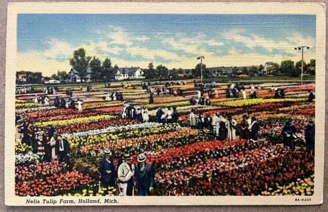 Postcard Holland Michigan Nelis Tulip Farm People in Garden Vintage Linen c1930