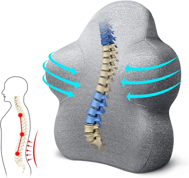 Lumbar Support Pillow for Office Chair, Memory Foam Back Support Pillow Cushion