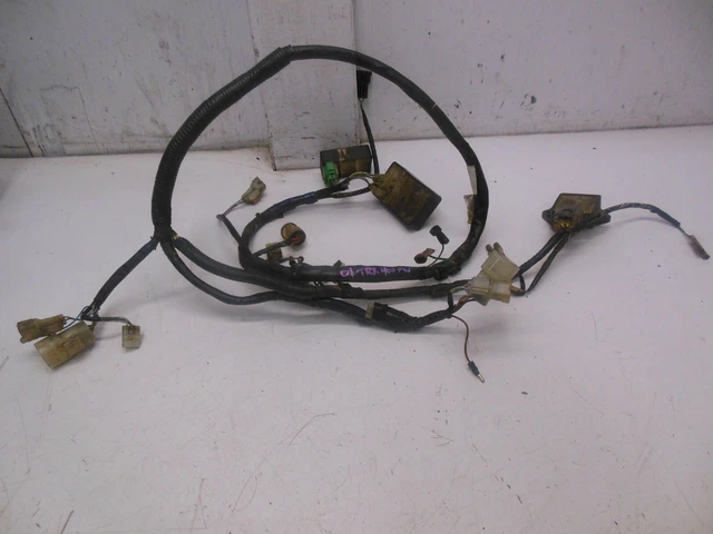 17A23 Honda TRX 400 FW 2001 Wire Harness 32100-HM7-A10