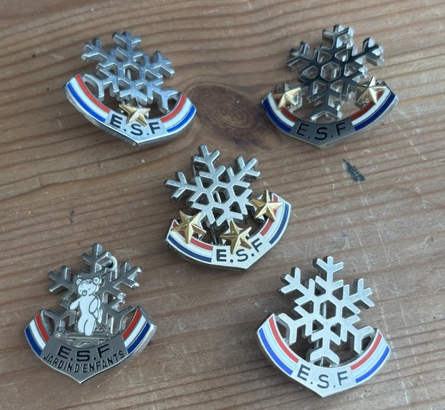 PIN'S INSIGNE SKI ESF Flocon 3 Étoiles EUR 6,90 - FR