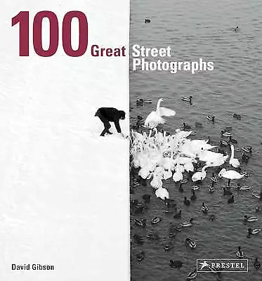 100 großartige Straßenfotos, David Gibson, Papier