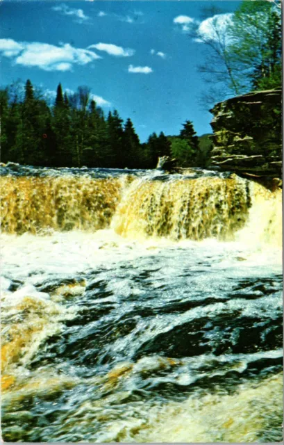 Lower Falls Tahquamenon River Chippewa County Michigan Vintage Postcard