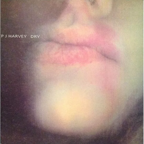 PJ Harvey - Dry VINYL LP