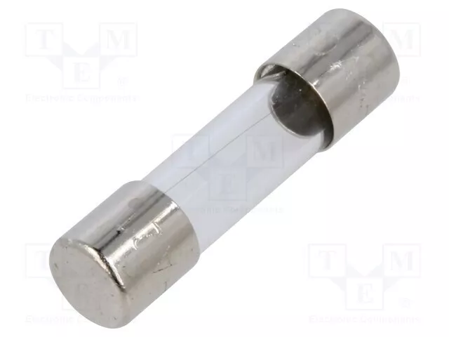 Cylindrique, en Verre Sécurité : Schmelz 220VAC 200mA Rapidement