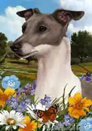 Summer House Flag - Blue and White Italian Greyhound 18983