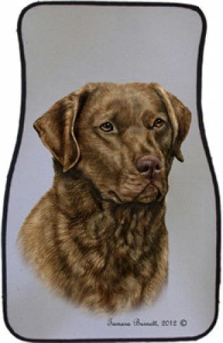 Chesapeake Bay Retriever Car Floor Mats Pair (TB) 36070