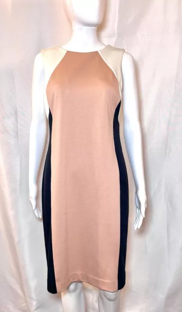 Ann Taylor Sheath Dress Color Block Pink Black Size 6