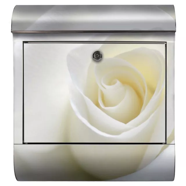 Briefkasten weiß Rose Hochzeit Geschenk Blume Liebe Natur Reinheit Blüte Pflanze