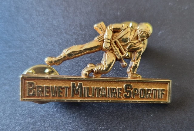 Insigne SIC Système D'Information Et De Communication – Modèle Réglementaire Armée Française, Métal, Attache 2 Pin’s