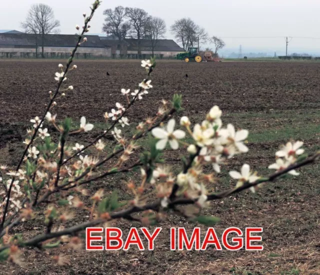 Photo  Blossom Field Tractor; Rural Landscape Taken In The Leicestershire Countr