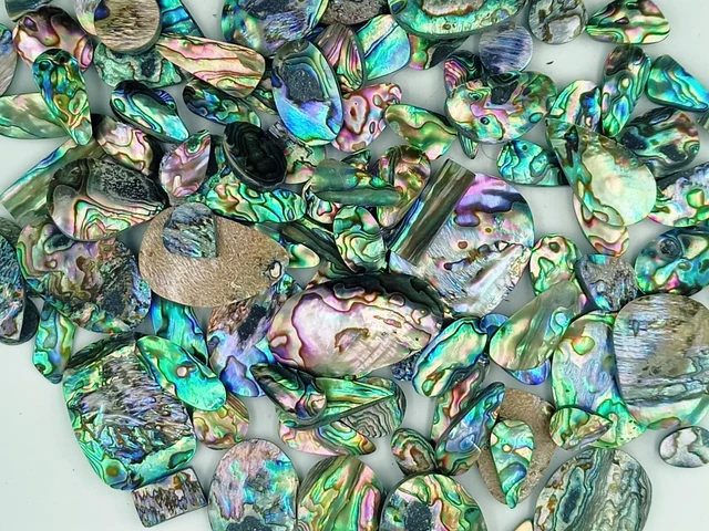 Natural Abalone Shell Piece Wholesale Lot Abalone shell For jewelry making 72418