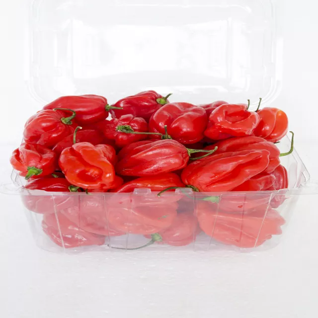 Habanero Red Freschi 2 Kg