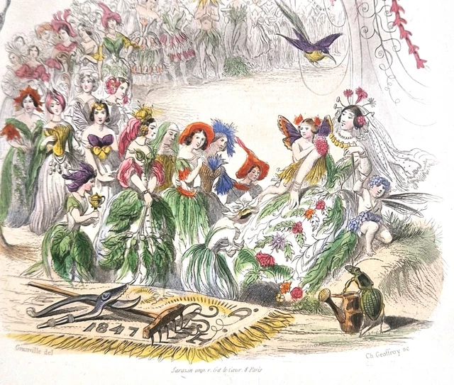 Gravure Ancienne Originale - 1850 - Crustacés & Crabes - Planche Couleurs - Carcinologie