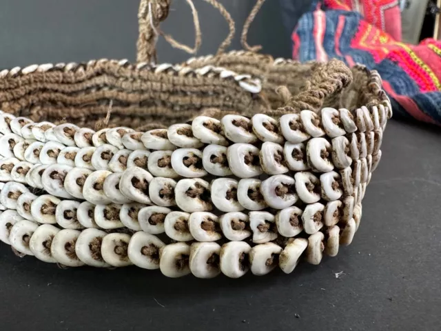 Old Papua New Guinea Cowrie Shell Woven Headband (b.) …beautiful collection and