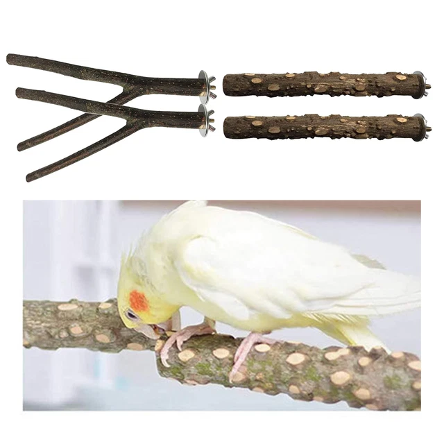 4 teile/satz Natürliche Holz Papagei Vogel Stand Baum Zweig Spielzeug Barsch