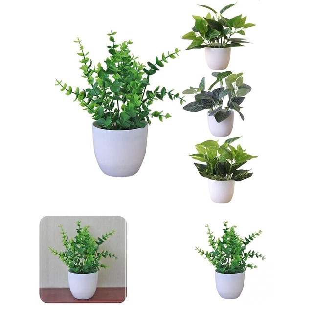 Bonsái en maceta decoración realista vívido sin decoloración escena bonsái