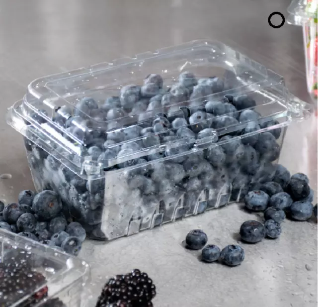 1 lb. - 352 Case Clear Square Vented Clamshell Produce Berry Container**