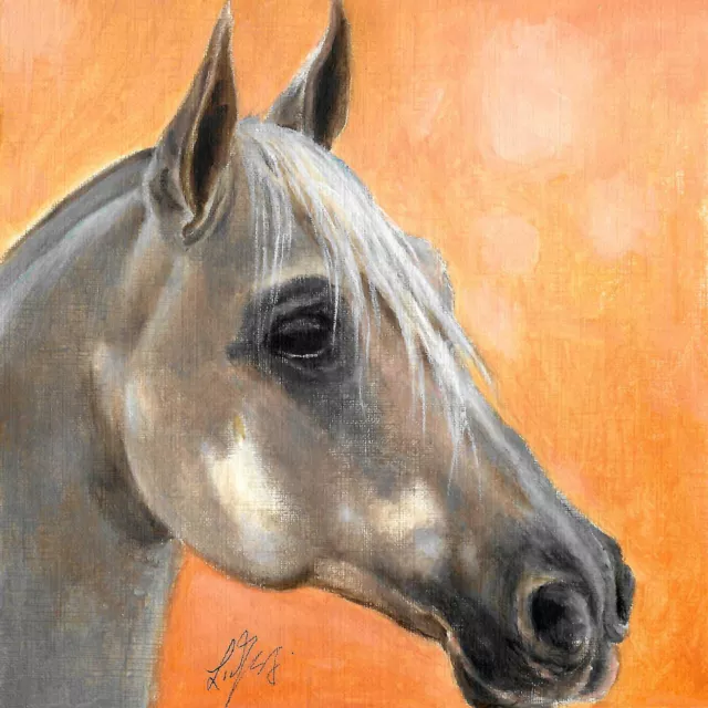 ❈ ORIGINAL Oil Portrait Painting HORSE Artist Signed Pony Mare Mustang Art White