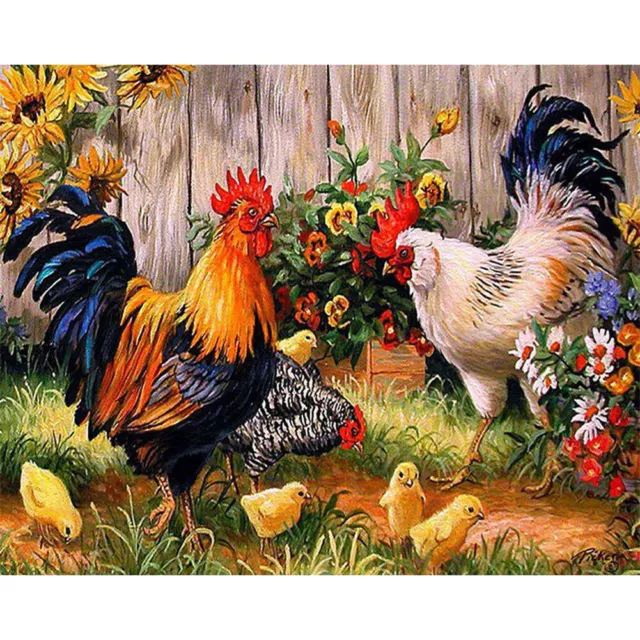 DIY Painting By Numbers on Canvas Chicken Oil Coloring Drawing Modern Wall Art