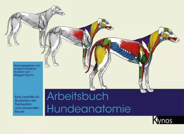 Arbeitsbuch Hundeanatomie | Andrew Gardiner | Deutsch | Buch | 216 S. | 2014