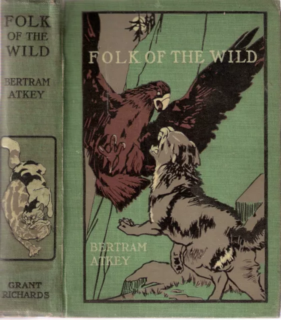 Folk of the Wild by Bertram Atkey illustrated by Harry Rountree 1911