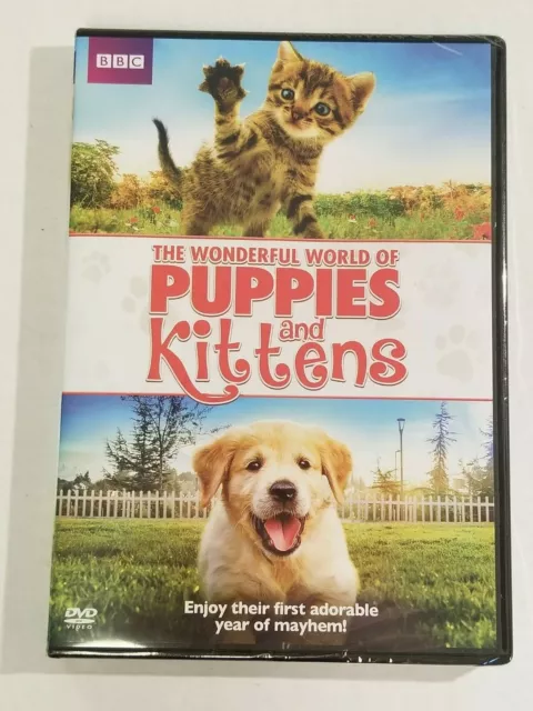 The Wonderful World of PUPPIES and KITTENS DVD BBC Cat Dog Pets NEW First Year