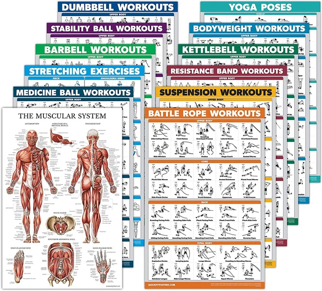 12 Pack Exercise Workout Poster Set Dumbbell Suspension Kettlebell Bands