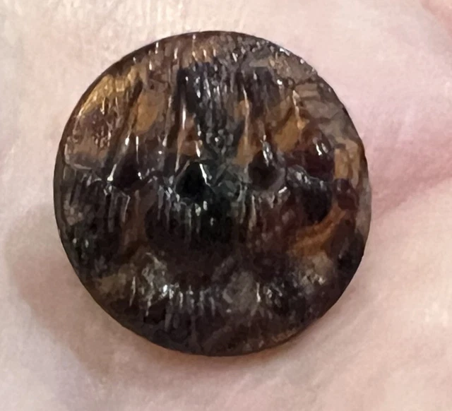 Antique Rare Mottled Brown Glass Picture Button Bear Claw