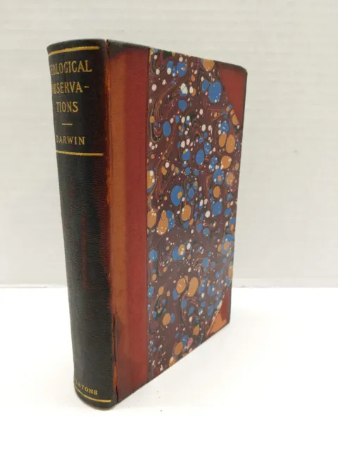 Charles Darwin - Geological Observations - 1896 Appleton Antique Book