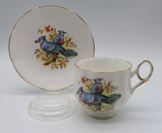 Royal Dover England BC Teacup Saucer set Blue Jay birds on branch gold accents