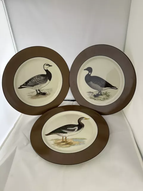 VINTAGE THE HALDON GROUP BOOTHBAY SET OF THREE WATERFOWL Dinner PLATES 10 1/4"