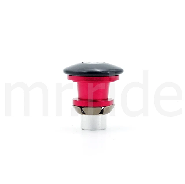 expander plug carbon steerer