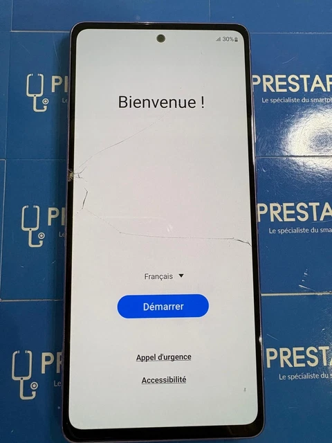 Réparation écran LCD Nintendo 2DS
