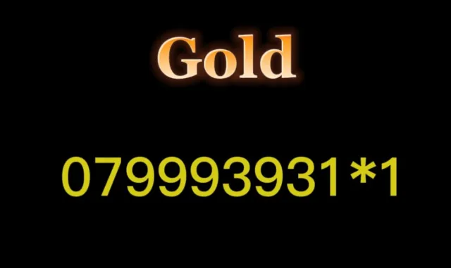 VIP Gold numero di cellulare scheda SIM facile memorabile platino diamanti business