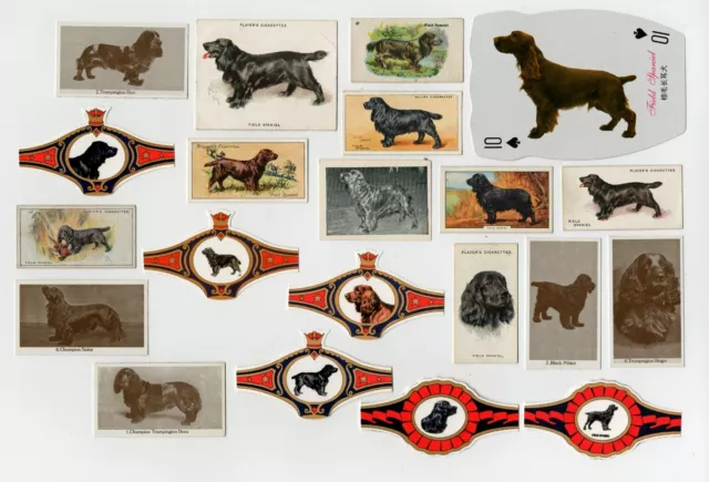 Field Spaniel  Vintage Dog Collectable Bands, Cigarette & Trade Cards