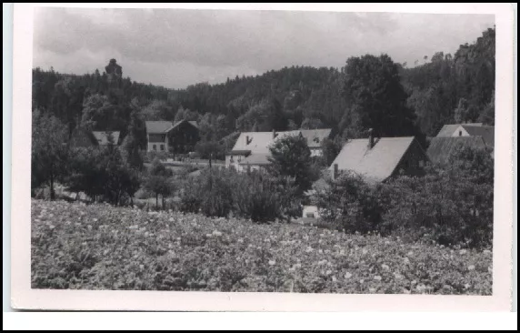 Jonsdorf Sachsen DDR Postkarte ~1950/60 Häuser Partie am Schalkstein ungelaufen