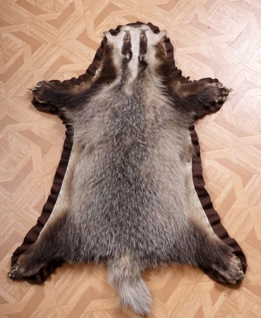 Schönes Dachsfell mit Bescheinigung Badger Fur