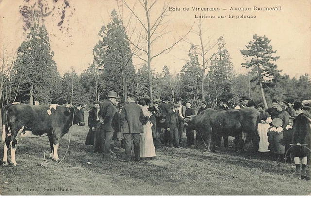 94 Vincennes #21751 Avenue Daumesnil Laiterie Sur La Pelouse Vaches