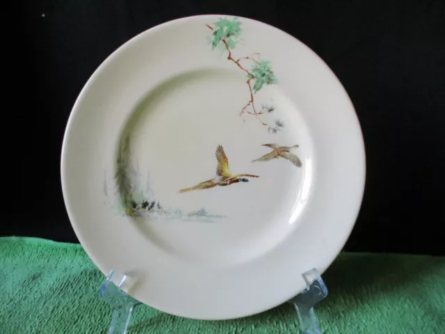 Royal Doulton. The Coppice. Small Plate. (16.5cm). D5803. Made In England.