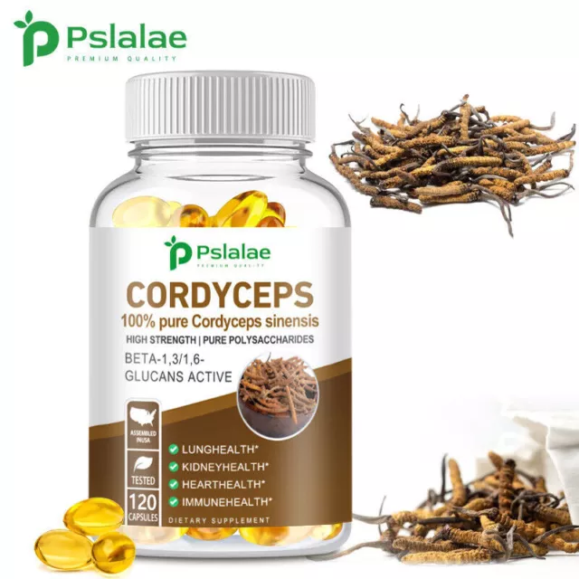 Cordyceps Sinensis - Salute Del Sistema Respiratorio, Allevia L'affaticamento