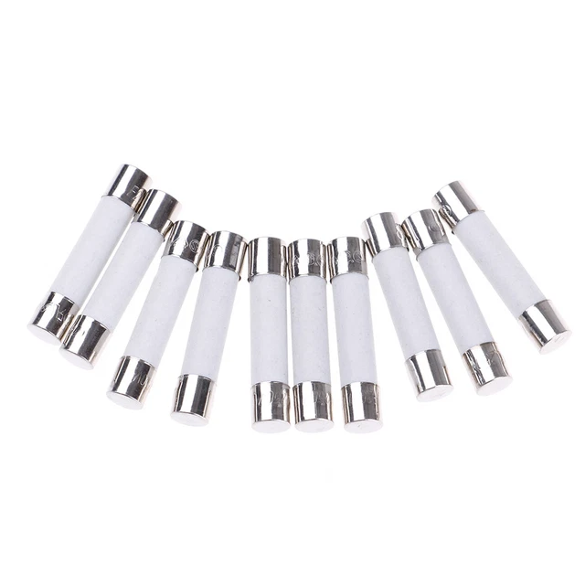 10 PCS MICROWAVE Ceramic Fuse Electric 20A 250V Home Supplies DIY