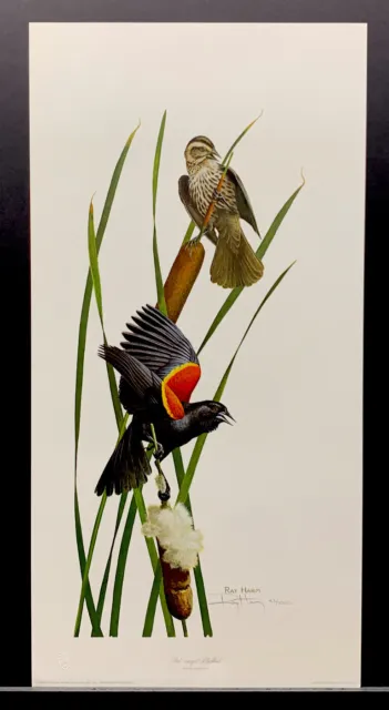 Ray Harm Limited Edition Signed Print “Red-winged Blackbird”