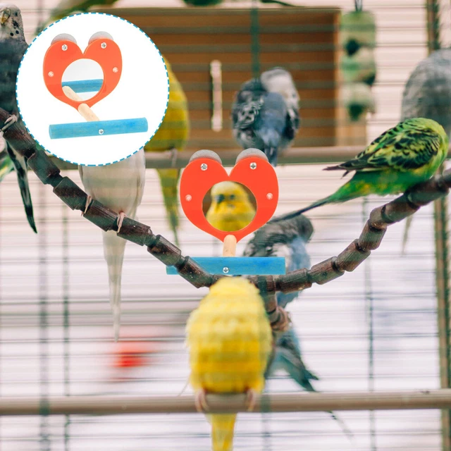 Vogels Piegel Acryl Sittich Vogelspielplatz Vogel-Spiegel-Spielzeug