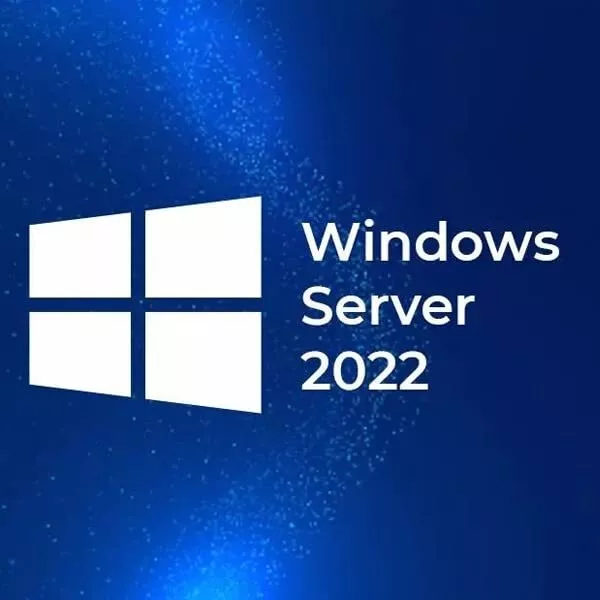 Hewlett Packard Enterprise Microsoft Windows Server 2022 License German, English