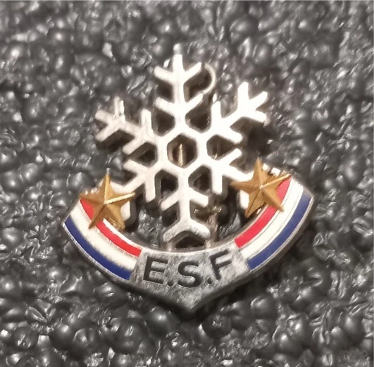 Insigne pin's badge broche médaille de ski ESF Flocon JAUNE Brevet niveau test - Sport & Plein air Insigne pin's badge broche médaille de ski ESF Flocon JAUNE Brevet niveau test - Sport & Plein air