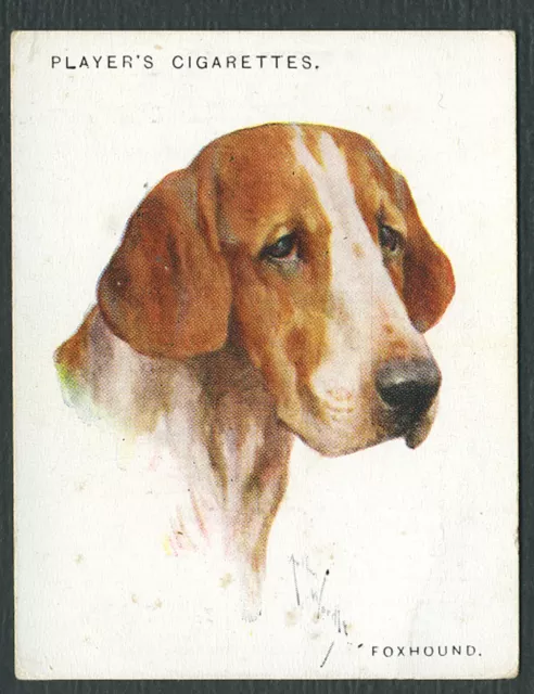 FOXHOUND JOHN PLAYER A SERIES DOG HEADS by WARDLE 1926 LARGE CIGARETTE CARD #7